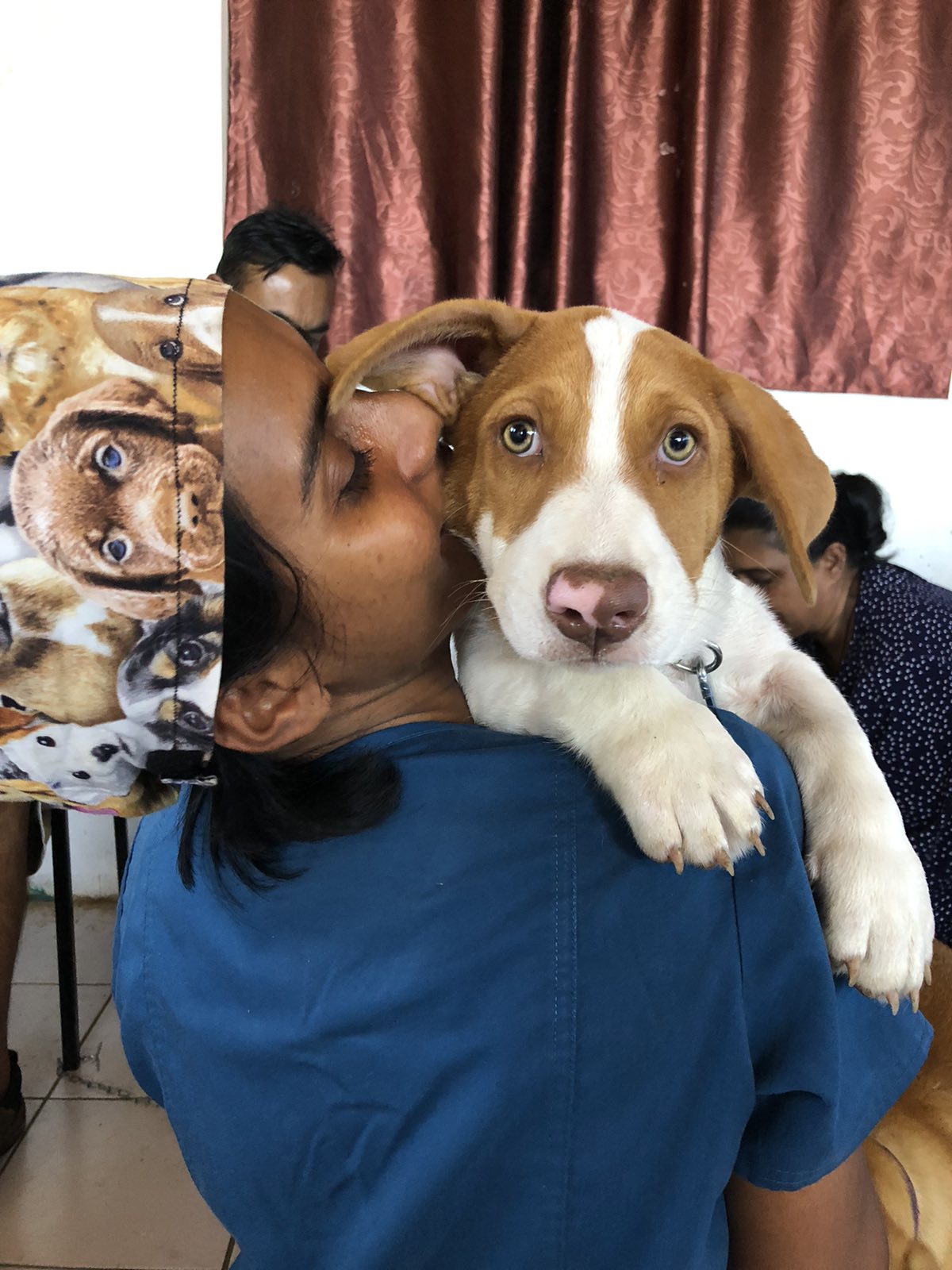 Outreach Clinics in Fiji