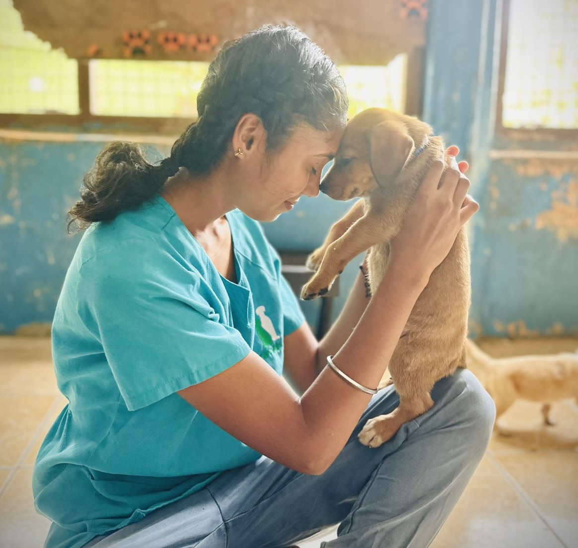 Responsible Pet Ownership