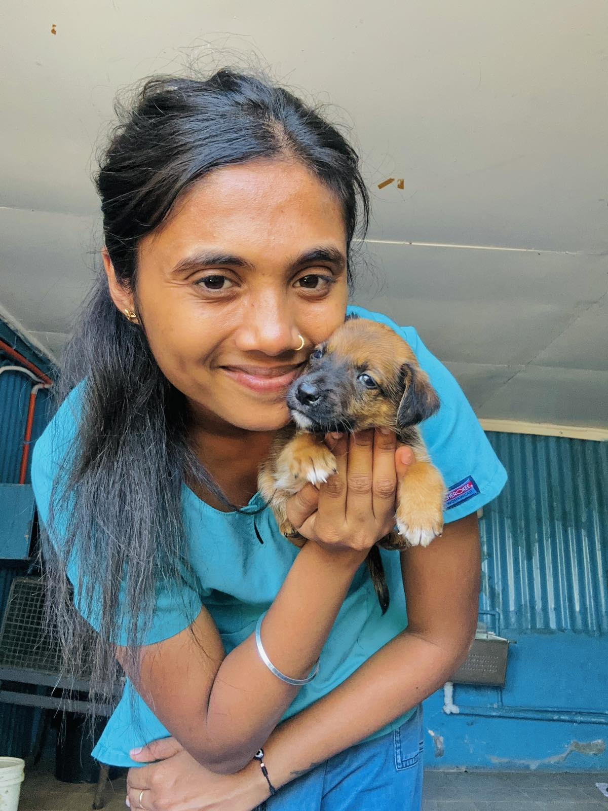 Responsible Pet Ownership