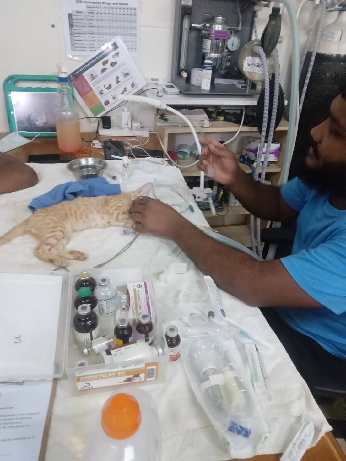 Improving Animal Welfare