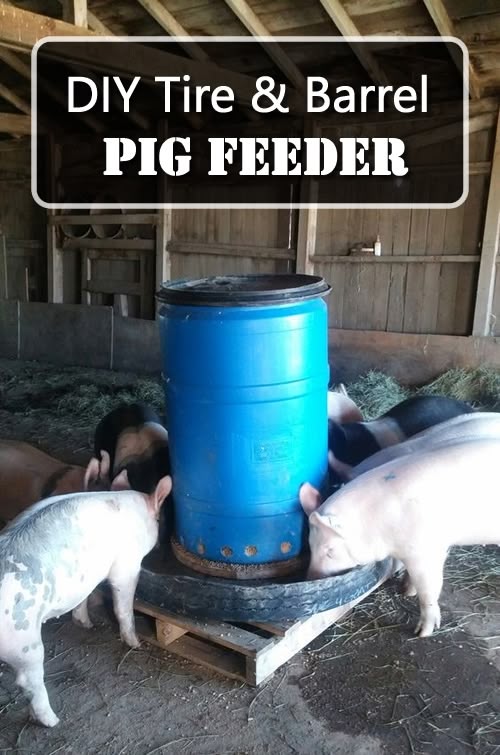 DIY Pig Feeder