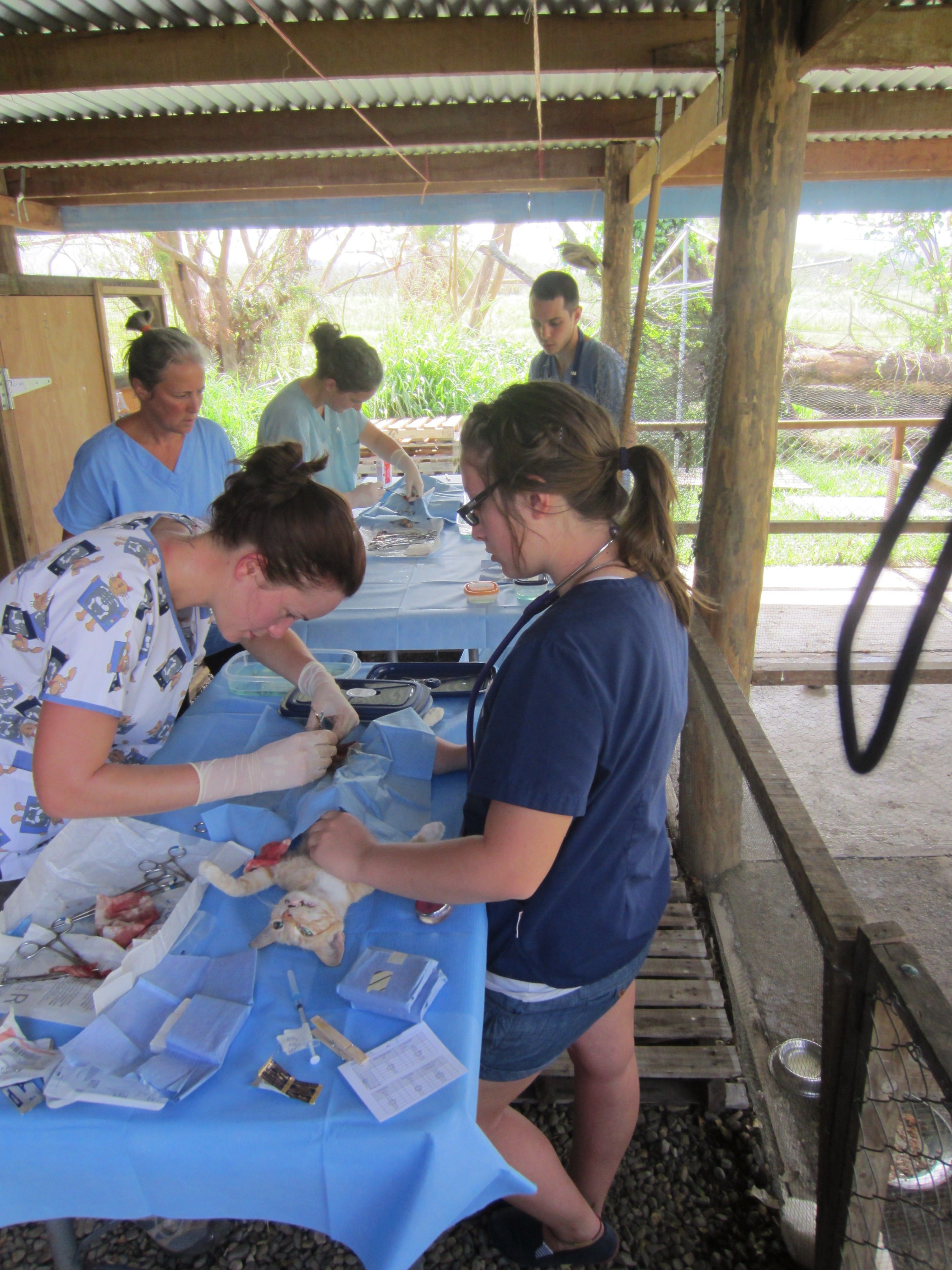 Tourism That Gives Back